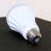 Sigalux A60 3285 10.2W 806 lm LED LAMP GLOEILAMP foto 2