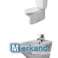 Duravit Sanitární keramické toalety Zbytky umyvadla fotka 1