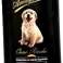 Shampoo für Hunde Großhandel Angebot Bild 1