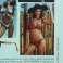 BIKINI BK 036 PUNAINEN TORERO kuva 6