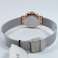 Skagen Danemark montre de montres dames regardent 358SRSC Slimline en acier inoxydable photo 3