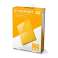 
WD My Passport 2TB geltonas išorinis kietasis diskas WDBS4B0020BYL-WESN 
     nuotrauka 2