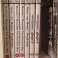 Restposten B-Ware Xbox 360 und einige A-B Ware PC Spiele Sammel Editio Bild 2