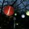 LED Girlande Lampion Balkon Solar Lichterkette Ø20cm 5x Lampion Außen Bild 3