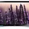 Samsung TV: n viallinen osto kuva 3