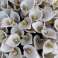Handgemachte Keramikblumen Bild 2