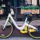 Bicicletas, super precio, obike, fotografía 2