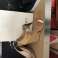 Prada, Zanotti, Dior, Jimmy Choo - lot of shoes image 4