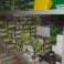 Interrupteurs, prises de courant, antennes, accessoires, fusibles, bougies, leds photo 4