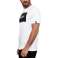 shirts Kangol photo 5