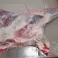 GEFRORENE ZIEGE (HALAL) ANGEBOT Bild 5