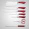 Royalty Line RL-KSS804, Set di coltelli 8 pezzi foto 1