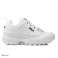 FILA Heritage Disruptor low 1010262.1FG image 1