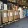 BOSCH-pölynimuri GL-20 BGN2A3028 laukku ja laukku tarvikkeineen kuva 5