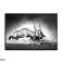 IMPRESSION VERRE PHOTO 70x100 CM GL101 GAZELLE photo 1