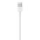 APPLE Lightning to USB cable 0.5m ME291ZM / A image 3