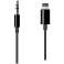 APPLE Lightning to 3.5mm Audio Cable MR2C2ZM/A image 2