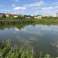 peat 4000 cubic meters.  0.34 hectares of land.  own reservoir image 2