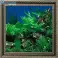 Das AquaVista Panorama-Aquarium Sonderverkauf Bild 5