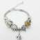 Lote de 100 Pulseras de Acero Estilo Pandora - Variedad y Calidad Hipoalergénica fotografía 5