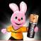 Leelispatarei Duracell Basic AA või R6 kood 81480573 blister 4bc-ga foto 4