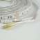 Bande LED PNI L15RGBWE flexible extérieur IP65 30 LEDs/m 12V 5m photo 5