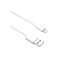 Câble adaptateur Lightning vers USB 2.0 PNI L101, compatible avec iPhone 7 1 met photo 3