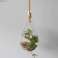 Glass terrarium - hanging tears on the rope image 6