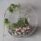 Glass terrarium - Large hanging wall bowl image 1