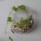 Glass terrarium - small hanging wall bowl image 1