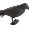 AG384 PLASTIC RAVEN BIRD REPELLER image 2