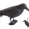 AG384 PLASTIC RAVEN BIRD REPELLER fotografia 4