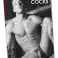ORION - PIN-UP Kalender / Kalender 2021 Bild 4