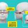 Corona Gesicht Visier Schutz Maske direkt vom Hersteller kaufen Bild 1