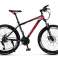 Bicicleta de montaña MTB fotografía 1