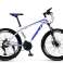 Bicicleta de montaña MTB fotografía 3