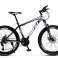 Bicicleta de montaña MTB fotografía 4