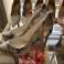 Ted Baker * High Heels* Restposten Verkauf Bild 4