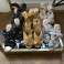 Ted Baker * High Heels* Restposten Verkauf Bild 3