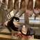 Ted Baker * High Heels* Restposten Verkauf Bild 7