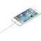 Apple Lightning to USB кабел (1м) бял DE MXLY2ZM / A картина 3