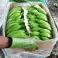 Cavendish bananas from the Ivory Coast image 1