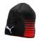 Puma Līga Atgriezeniskā Beanie ziemas cepure 01 022357-01 attēls 1