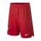 Nike JR Polija Stad Aw Short 611 940462-611 attēls 1