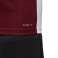 Heren T-shirt adidas Entrada 18 Jersey bordeaux CD8430 CD8430 foto 1