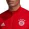 adidas Bayern München Trainingsanzug Sweatshirt 373 FR5373 Bild 1