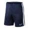 Nike Breathe Academy19 rövidfilm 451 BQ5810-451 kép 6