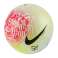Nike NJR Skills 100 SC3961-100 photo 4