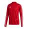 Vīriešu sporta krekls adidas Tiro 19 Training Top red D95920 D95920 attēls 4