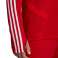 Vīriešu sporta krekls adidas Tiro 19 Training Top red D95920 D95920 attēls 5